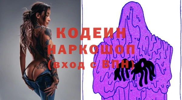 индика Алзамай