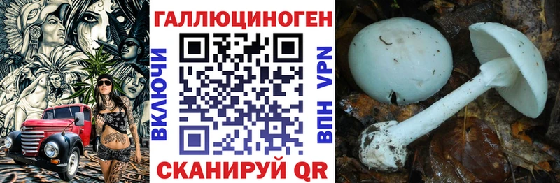 Псилоцибиновые грибы мицелий  блэк спрут онион  Кораблино  купить закладку 